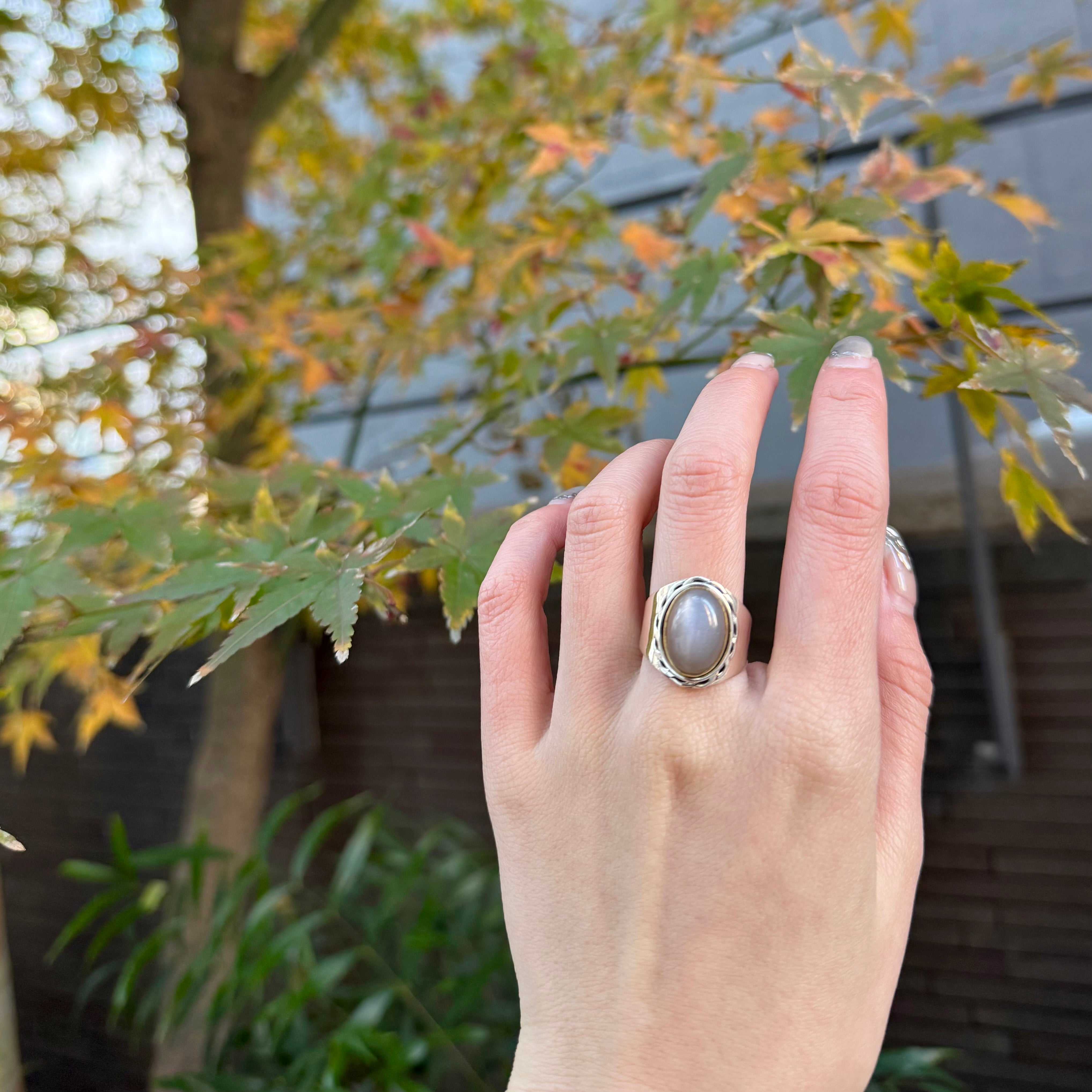 bijumamコネクトリングドゥルージ ビジュマム♡ホワイトドゥルージー コネクトリング