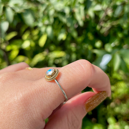 Silver925 × Brass petit ring 1
