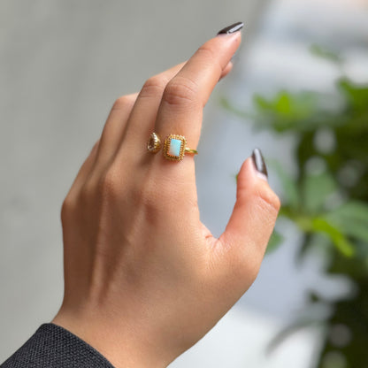 Brass 2stone ring 15