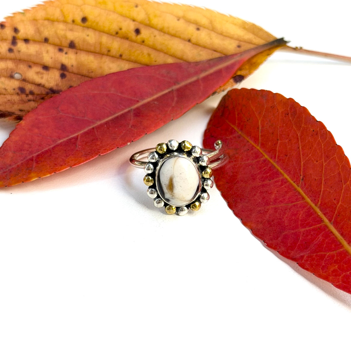 Autumn color 11