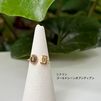 Brass 2stone ring 11