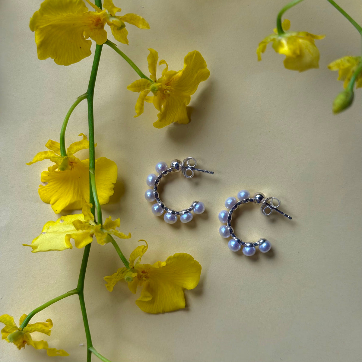 Pearl design pierce 6