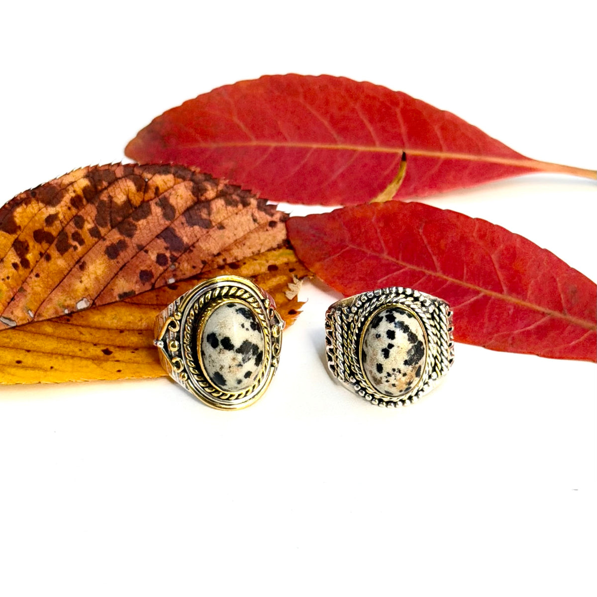 Autumn color 16