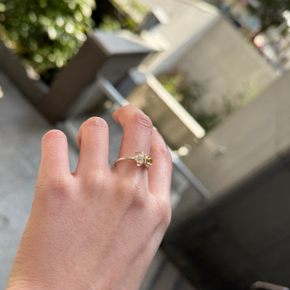 2stone ring 27