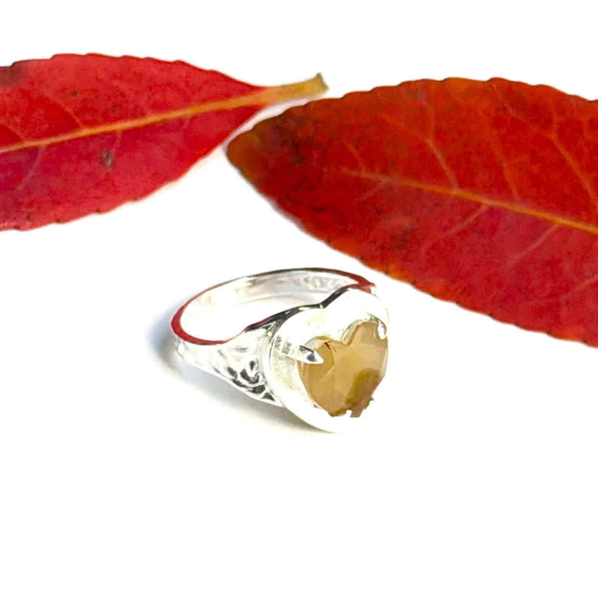 Autumn color 14