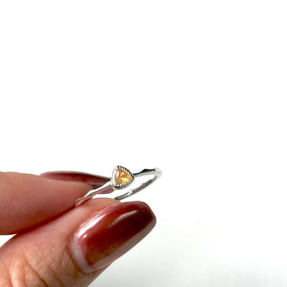 Silver925 petit ring 81