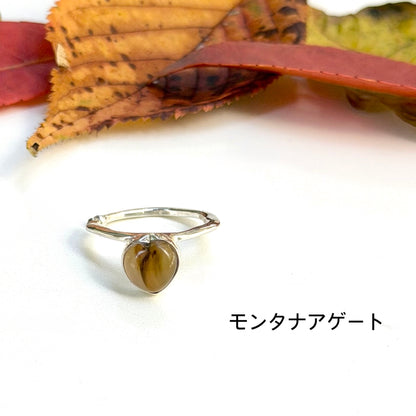 Autumn color 7