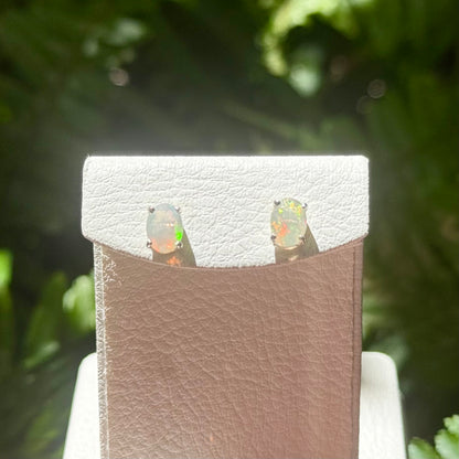 Opal pierce 1