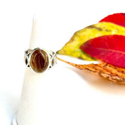 Autumn color 4