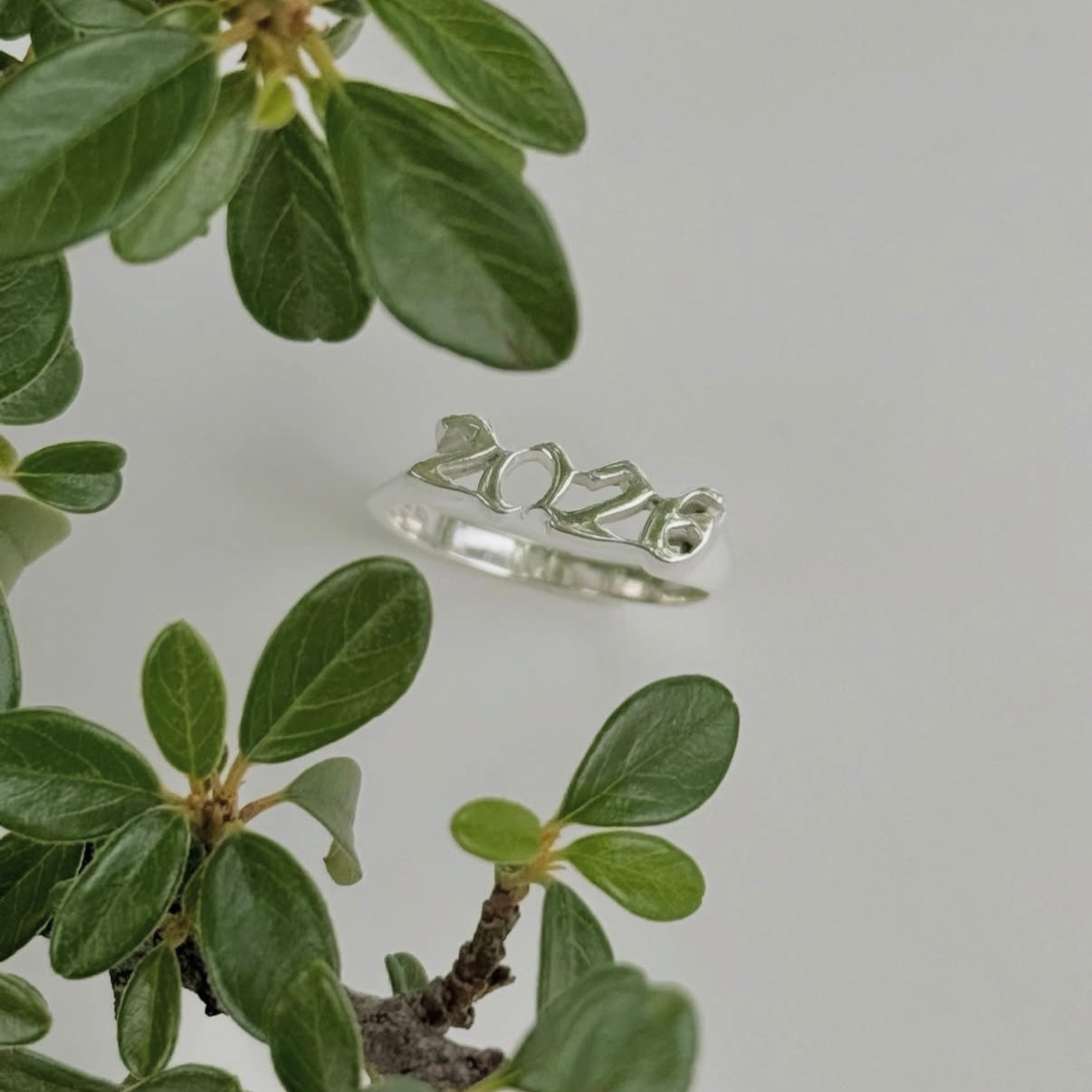 “2026” plain ring