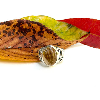 Autumn color 4