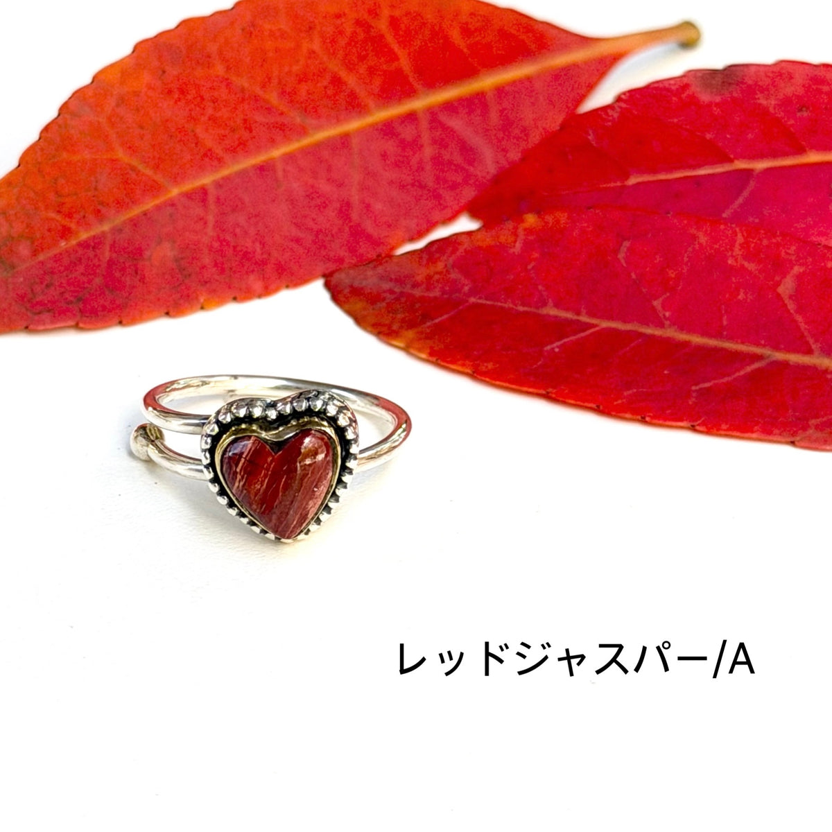 Autumn color 13