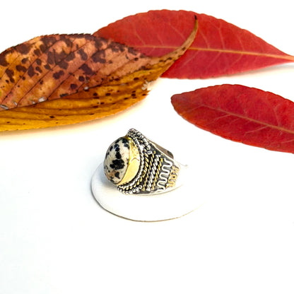 Autumn color 16