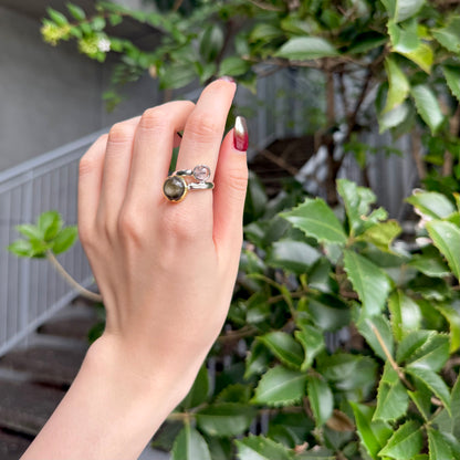 Silver925×Brass 2stone ring 20