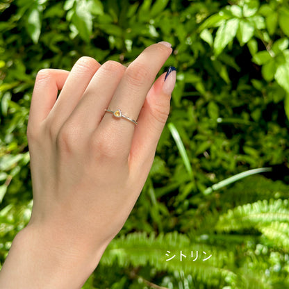 Silver925 petit ring 81