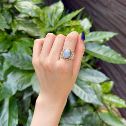 Connect ring 2