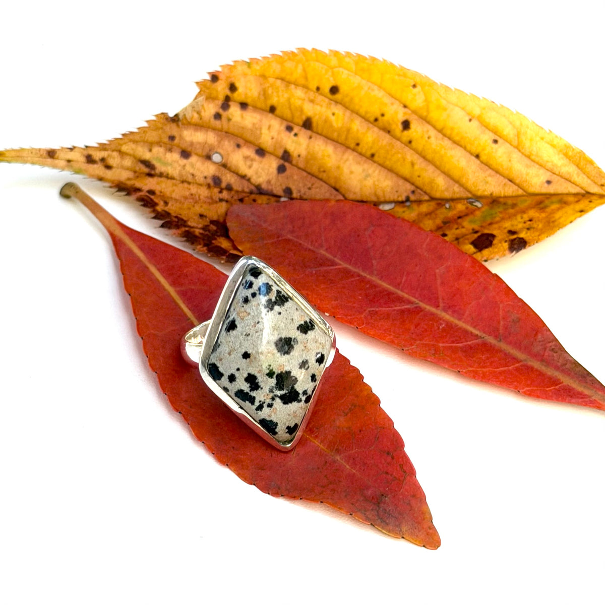 Autumn color 9