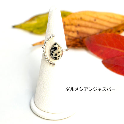 Autumn color 6