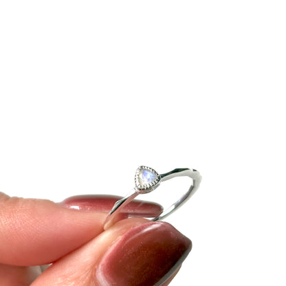 Silver925 petit ring 81