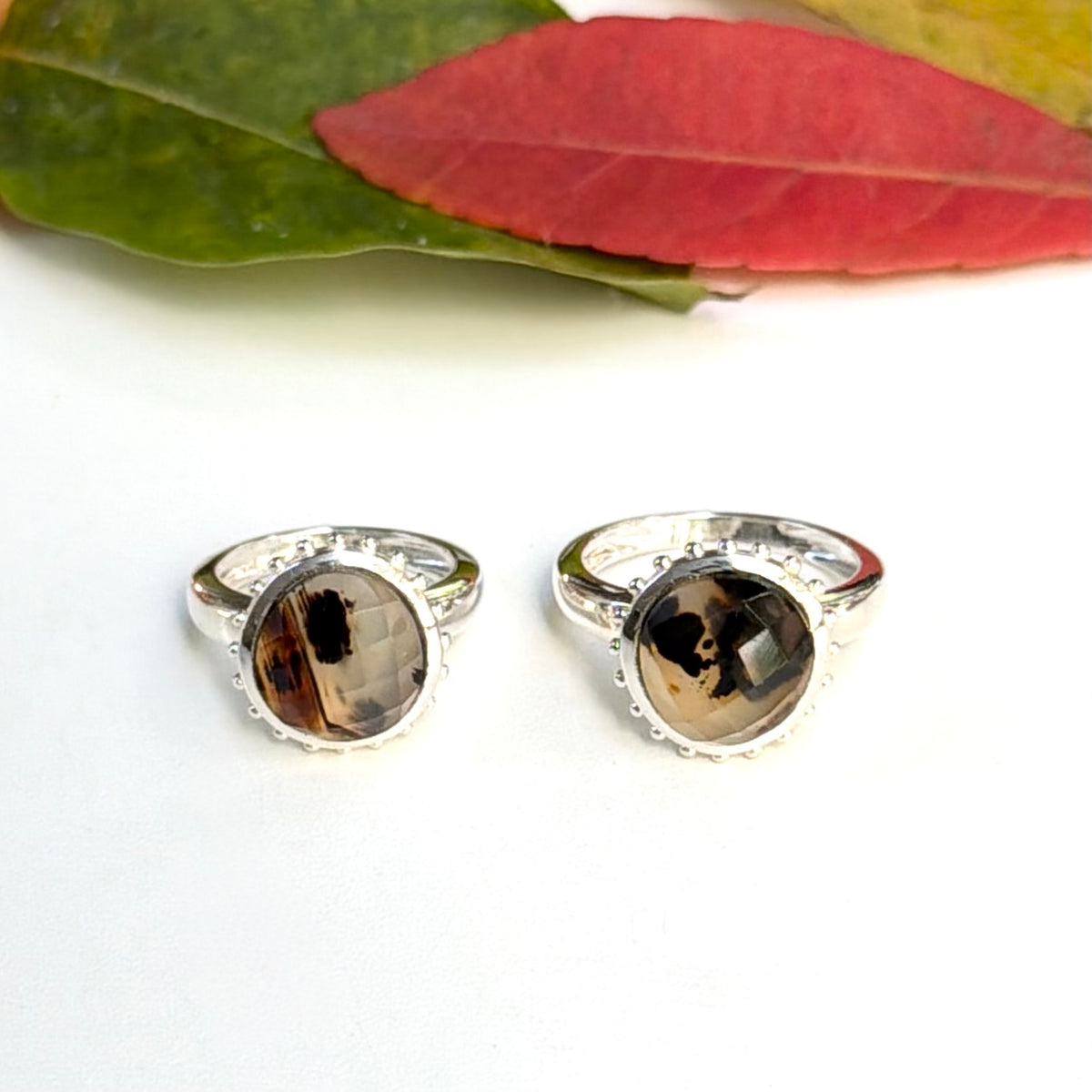 Autumn color 15