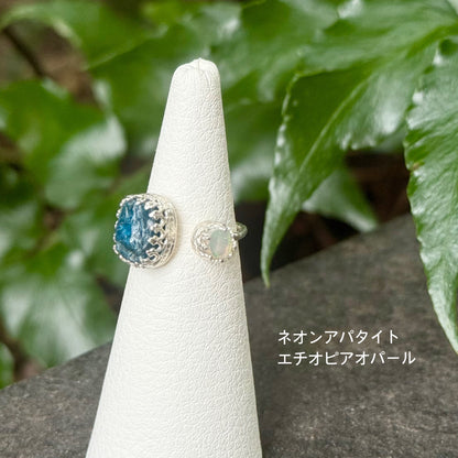 2stone ring 30