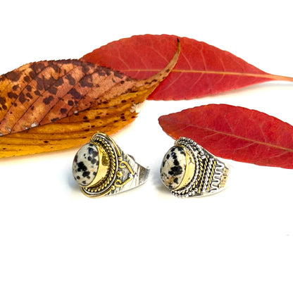 Autumn color 16