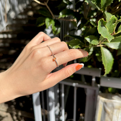 Silver925 petit ring 17