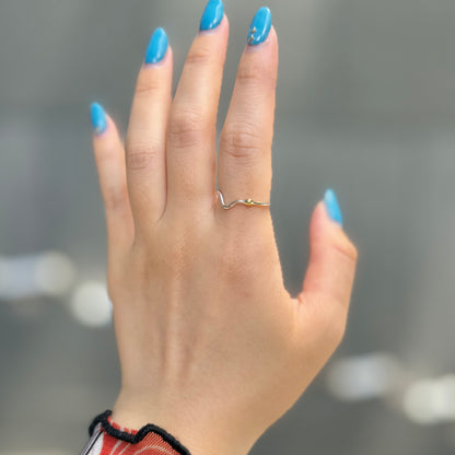 Silver925×Brass plain ring 2