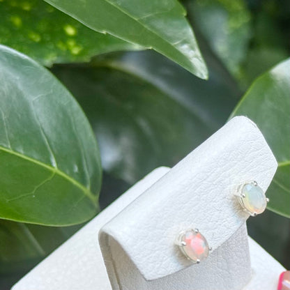 Opal pierce 1