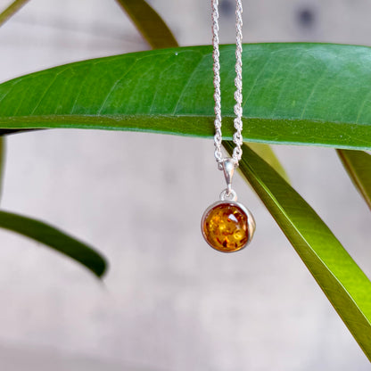 Amber charm