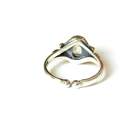 Connect mini ring 21