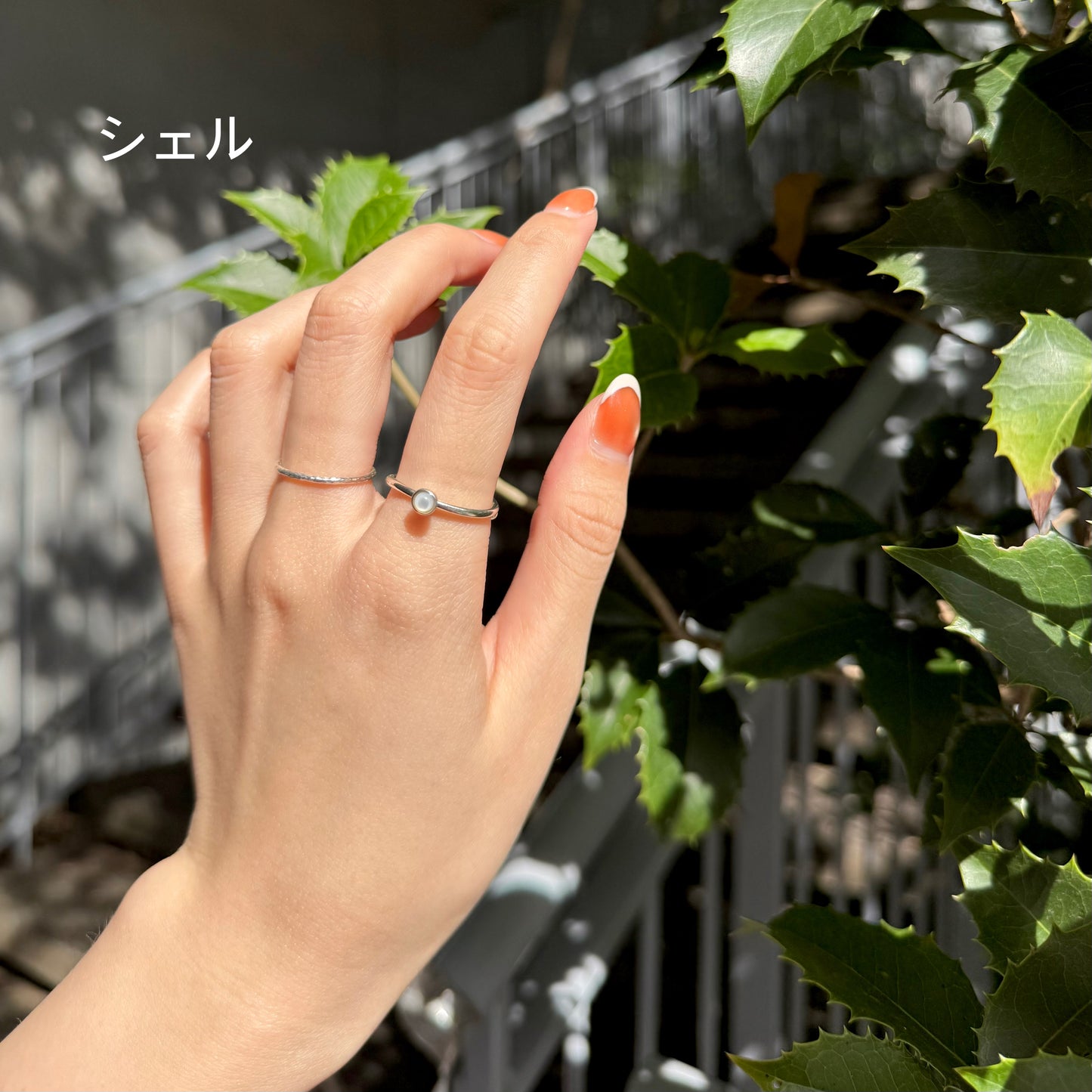 Silver925 petit ring 19
