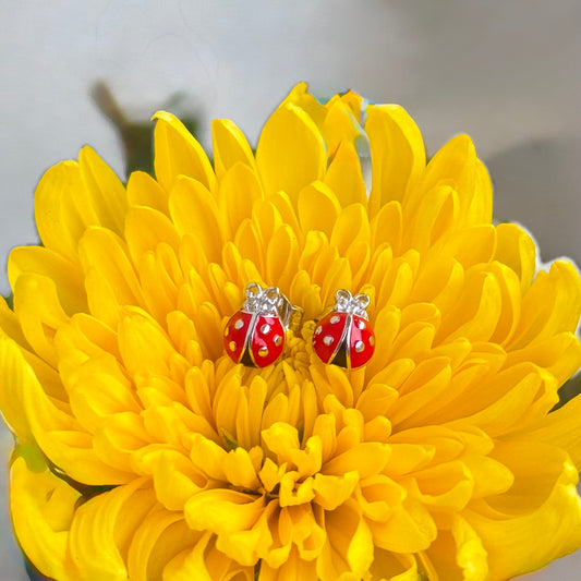【オンライン先行】Ladybug Pierce 2