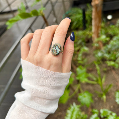 Abalone shell design ring 1