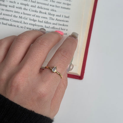 Brass petit ring 〈Rainbow moon stone〉