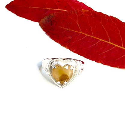 Autumn color 14