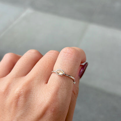 Silver925 petit ring 10