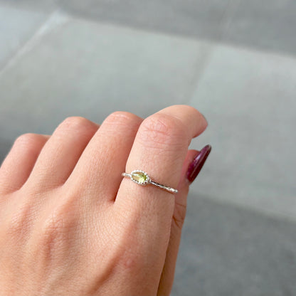 Silver925 petit ring 10