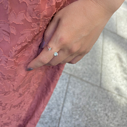 Silver925 2stone ring 19