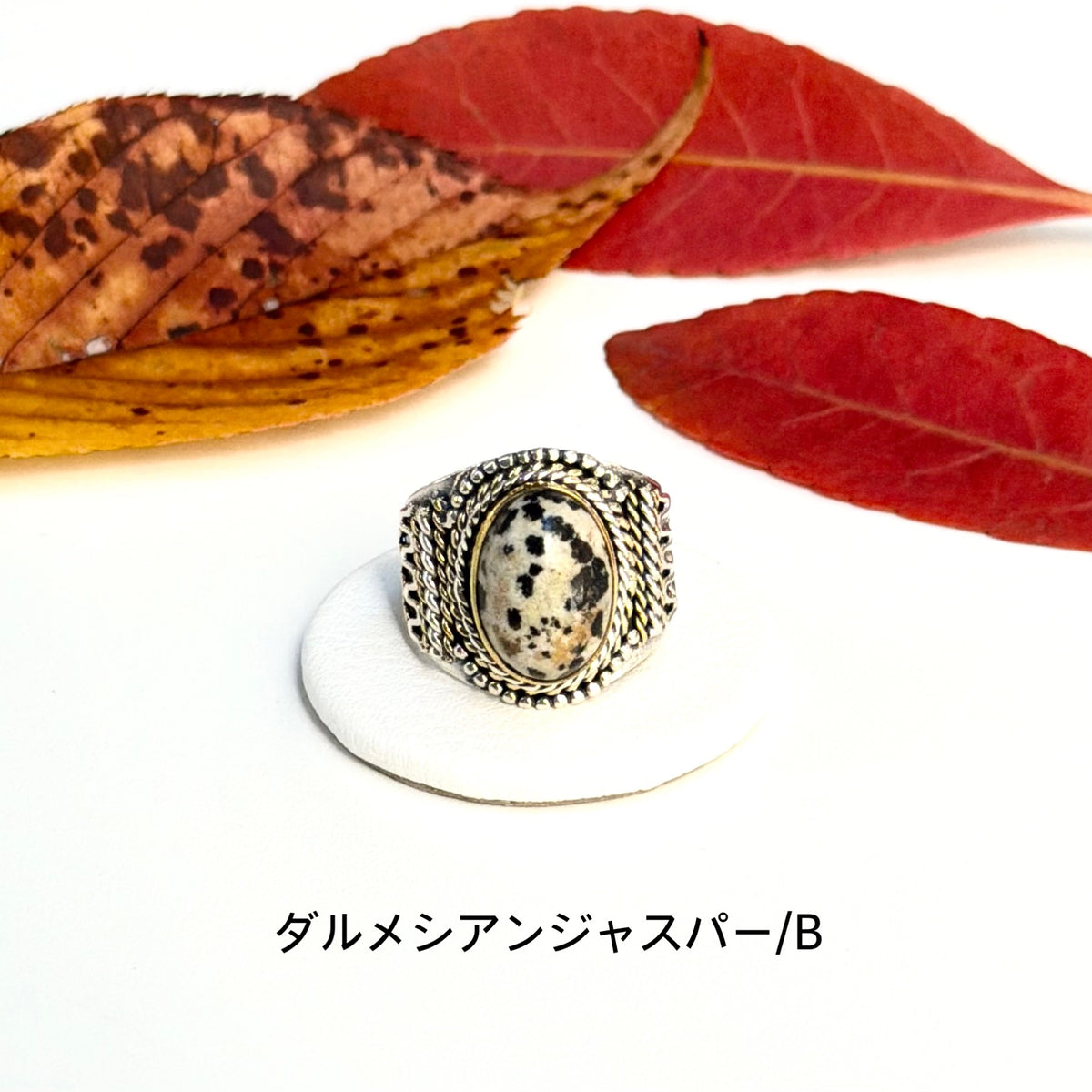 Autumn color 16