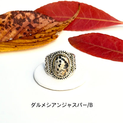 Autumn color 16