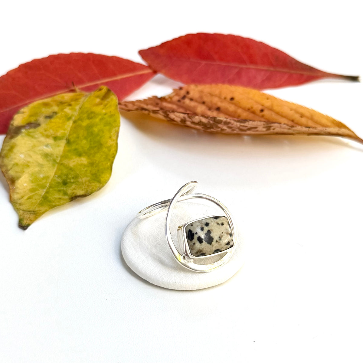 Autumn color 5