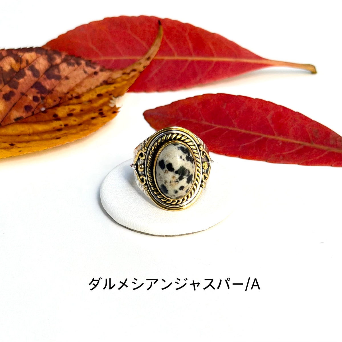 Autumn color 16
