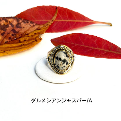 Autumn color 16