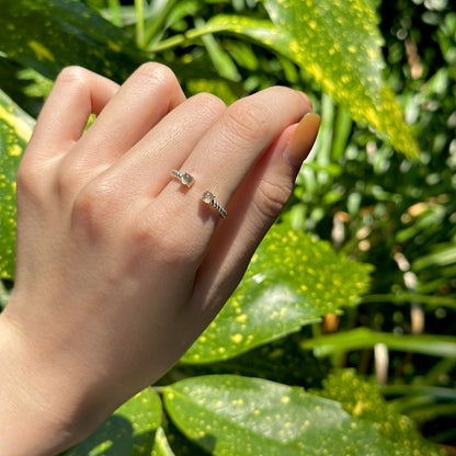 Silver925 2stone ring 18