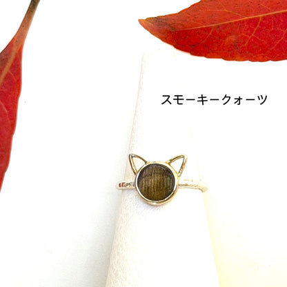 Autumn color 1