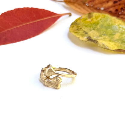 Brass plain ring 25