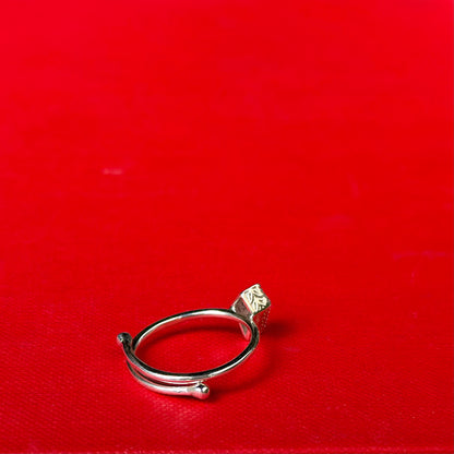 Silver925 petit ring 30