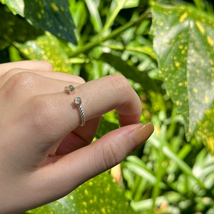 Silver925 2stone ring 18
