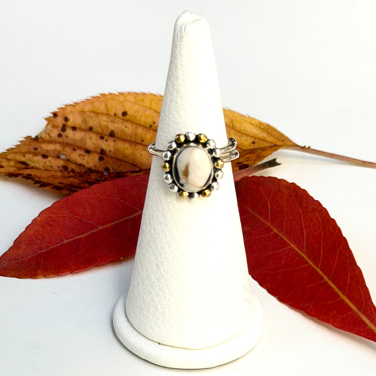 Autumn color 11